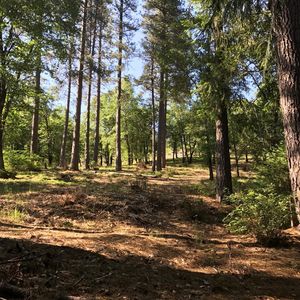 0 Ridgeway, Pollock Pines, CA, 95726