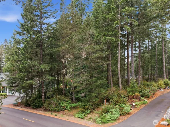 1081 E Vine Maple Lane, Union, WA 98592