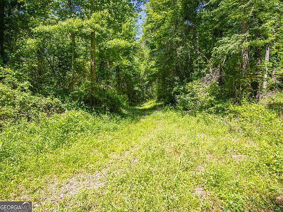 3rd image of Wallace Gray Rd