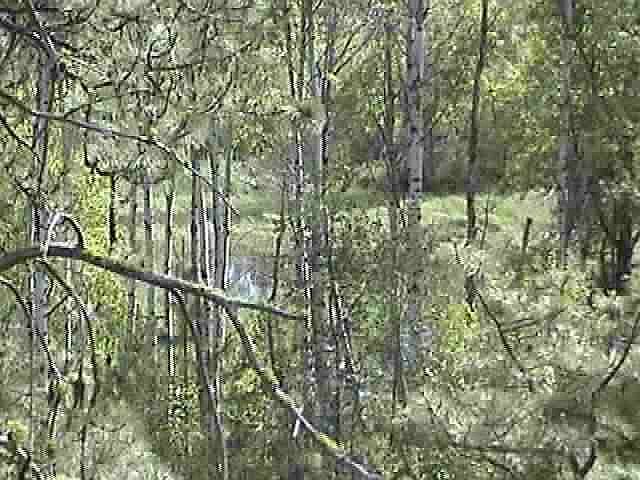 2nd image of 11104 N Brooks Rd
