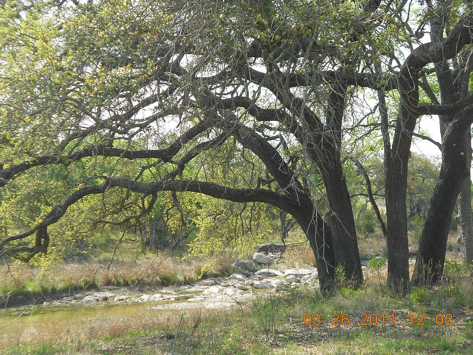 1st image of West Trl