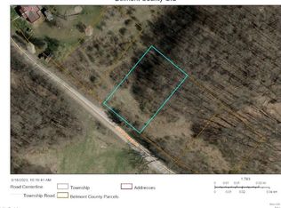 0 Rouggen Rd, Piedmont, OH 43983