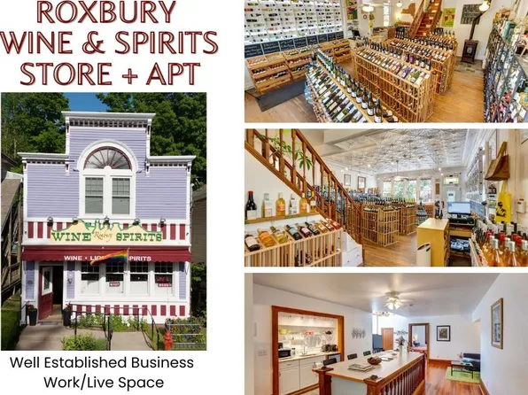 53484 State Highway 30, Roxbury, NY 12474