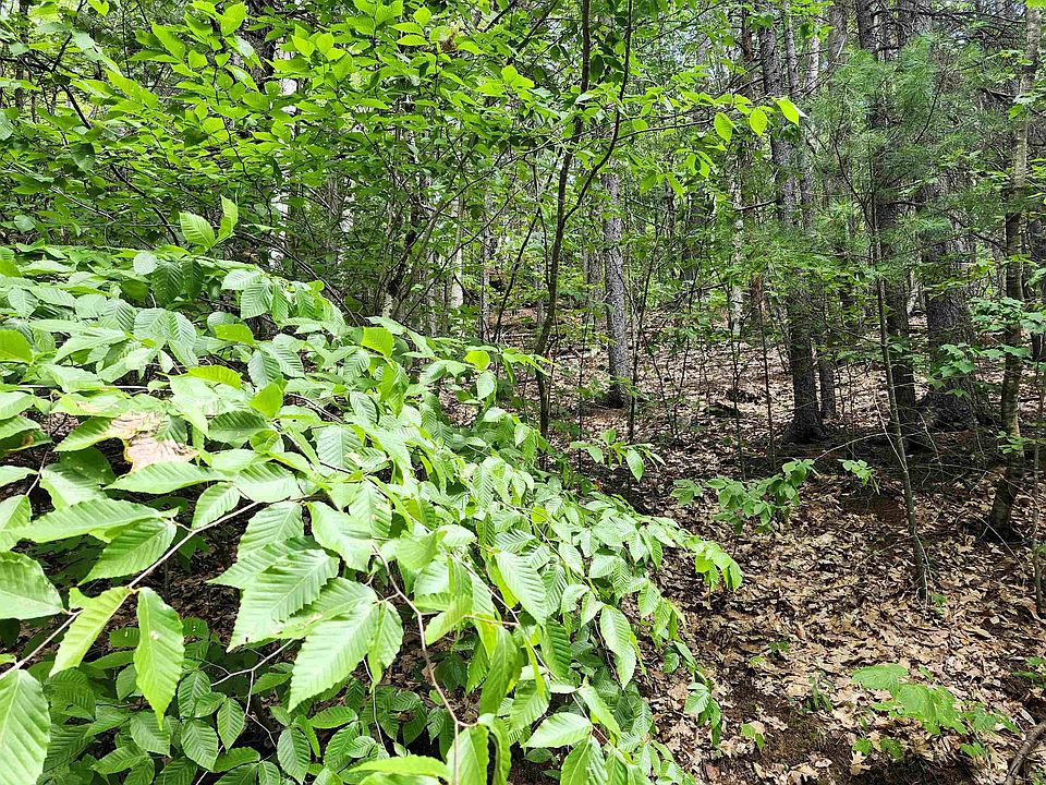 1st image of 05.12.08 Isaax Fox Drive