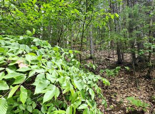 Waterville Estates, Campton, NH 03223