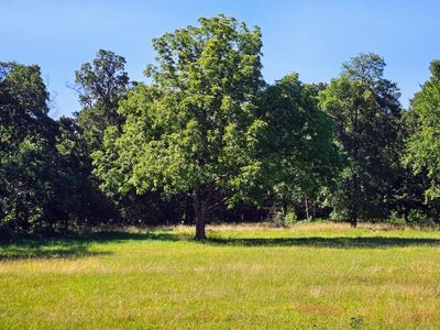 2586 E Theran Avenue (Ph 1, Lot 14), Springfield, MO, 65803