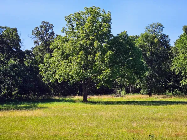 2586 E Theran Avenue (Ph 1, Lot 14), Springfield, MO 65803