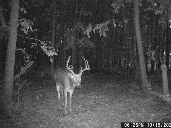 0 E County Hwy #35, Waltonville, IL 62894