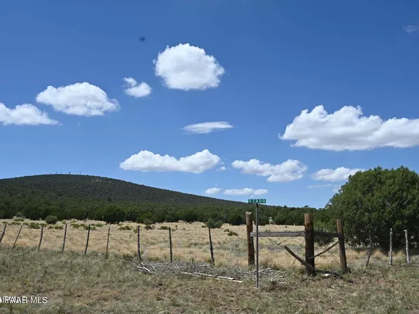 33900 W Great Horned Trl, Seligman, AZ 86337