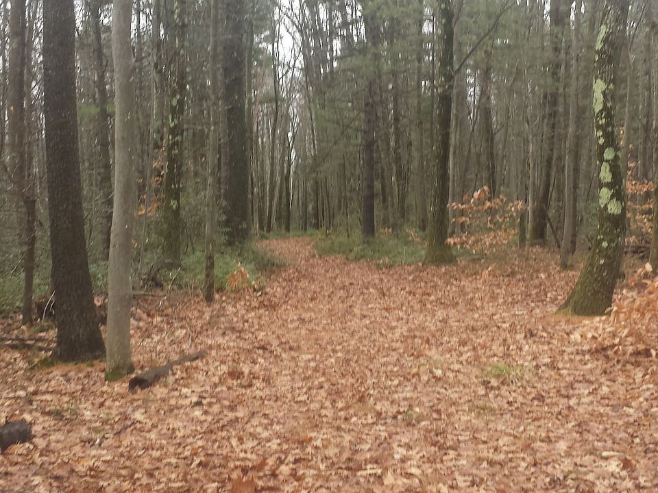 2nd image of 106 Fish Rd