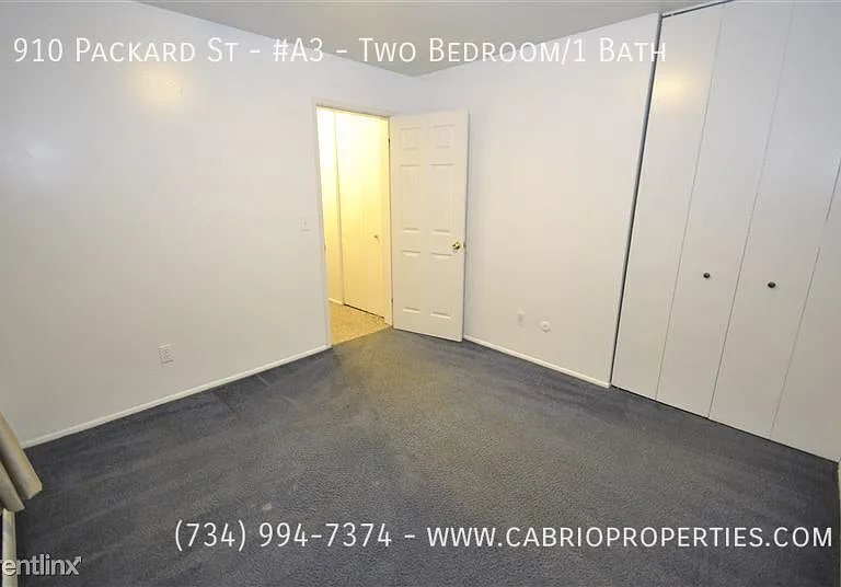910 Packard St — Photo 23