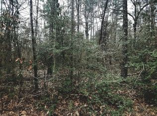 Rantoul Ct, Huntsville, TX 77320