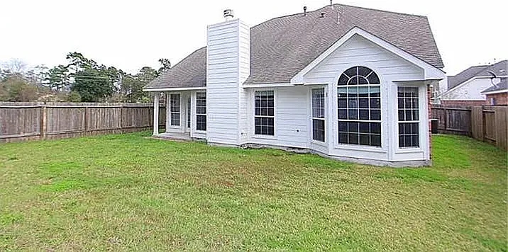 back yard