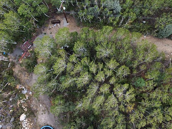 4th image of 423 Juniper Dr