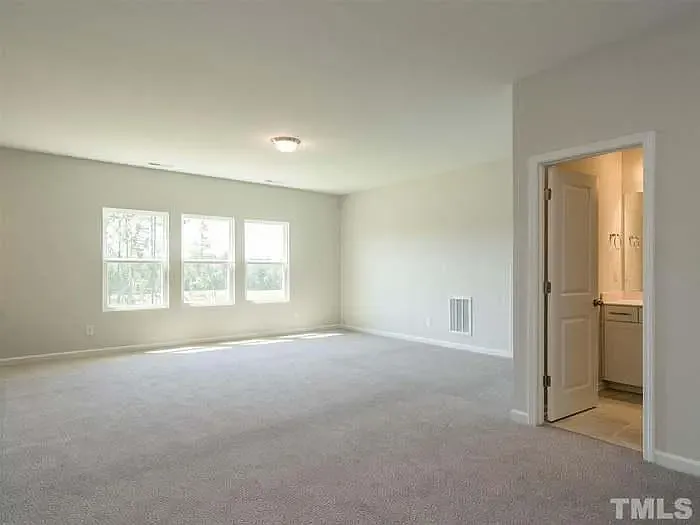 132 Blue Hydrangea Ln — Photo 20