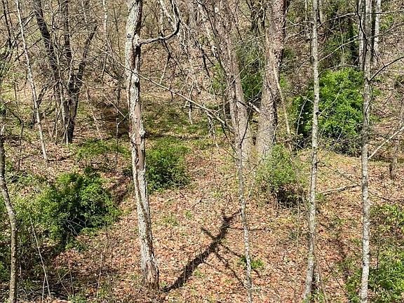 5th image of 174 Earnhart Dr