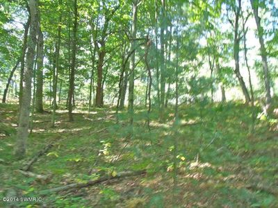 0 Cinder Rd, Interlochen, MI, 49643