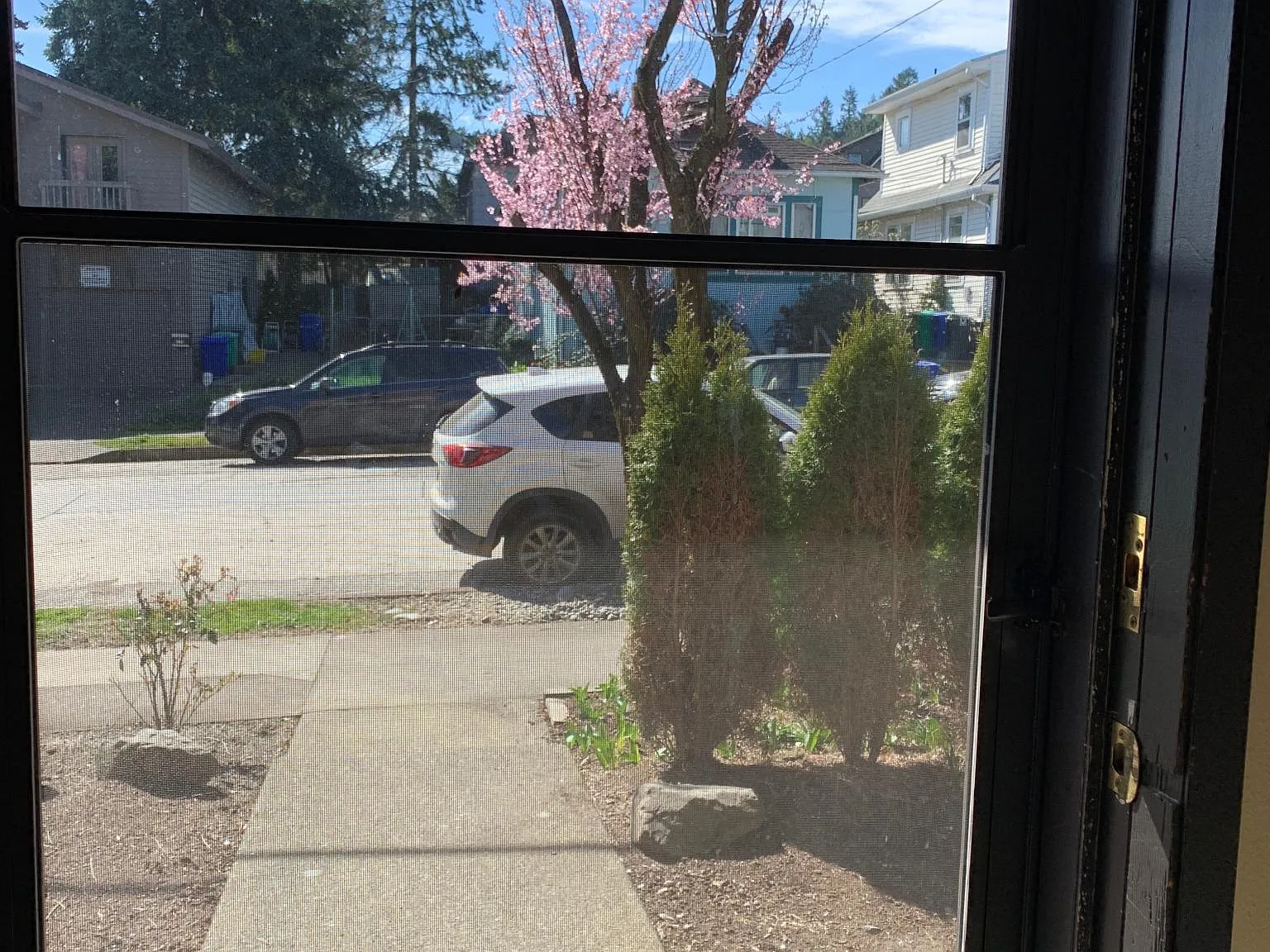 2 bed, 1.5 bath, 1050 sqft, $2,200 — Photo 4