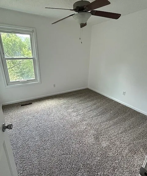 445 Lebanon Hwy — Photo 8