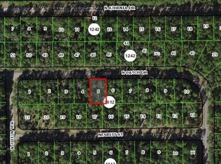 9248 N Patch Dr, Citrus Springs, FL 34434