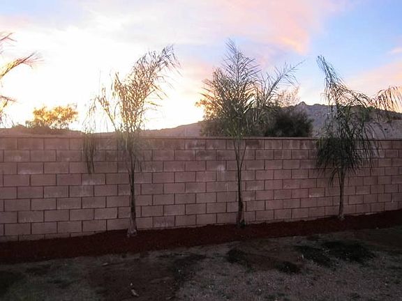 Backyard view