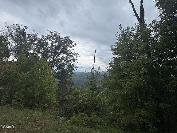 3rd image of 49 Enclave Park Way Lot 49