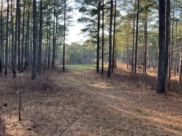352 Woodville Philomath Rd, Rayle, GA 30660