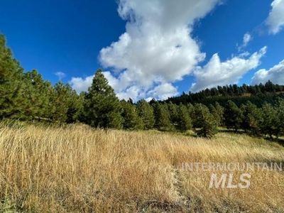 Presby Rd, Viola, ID, 83872