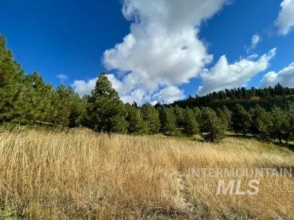 Presby Rd, Viola, ID 83872