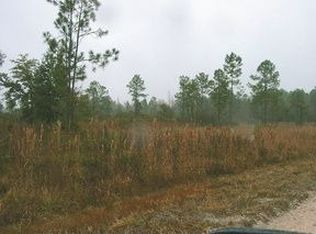 3441 Albert Hendry Rd, Greenville, FL 32331