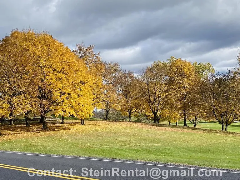 838 Stein Ln — Photo 25