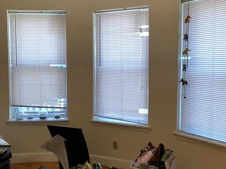 9 Shepherd Ave #2A — Photo 6