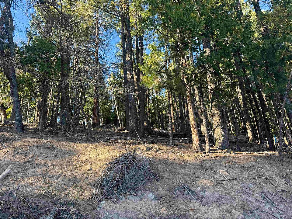 2nd image of 2500 Sugar Pine Trl