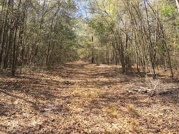 4th image of 0 SW County Road 143