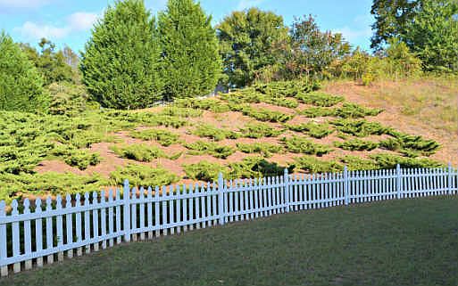 5th image of 4066 Deerlope Ct