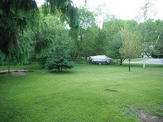 back yard