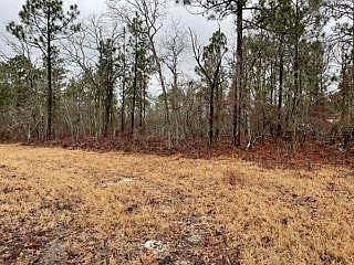 2nd image of LOT 1 Joyner Pond Rd