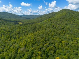 0 Henry Wescott Rd, Athol, NY 12810