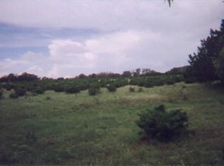 0 White Oak Rd, Fredericksburg, TX 78624