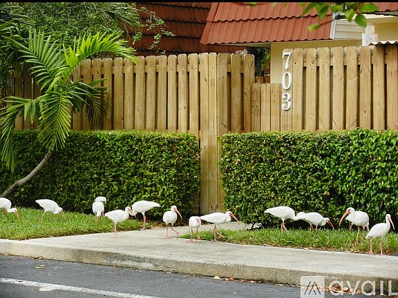 3rd image of 703 NW 99th Cir #703
