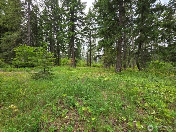 0 R Lot 4 Nelson View Way, Cle Elum, WA 98922
