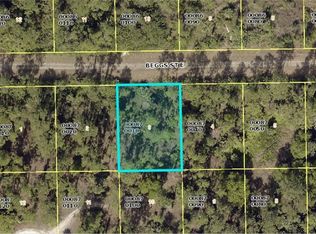 1062 Beggs St E, Lehigh Acres, FL 33974