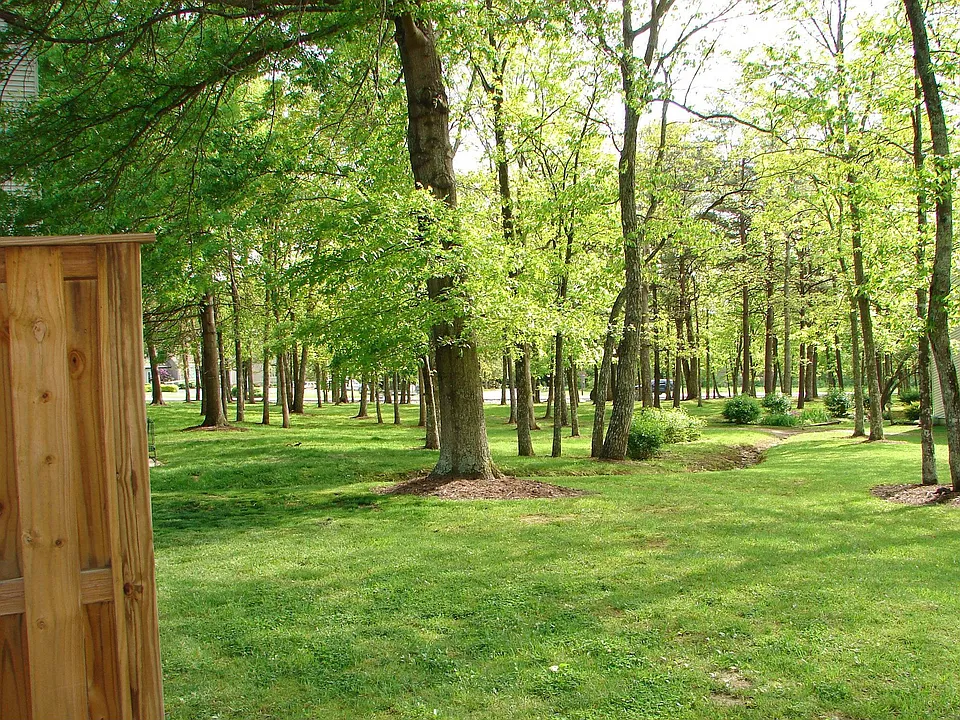 Park like back yard