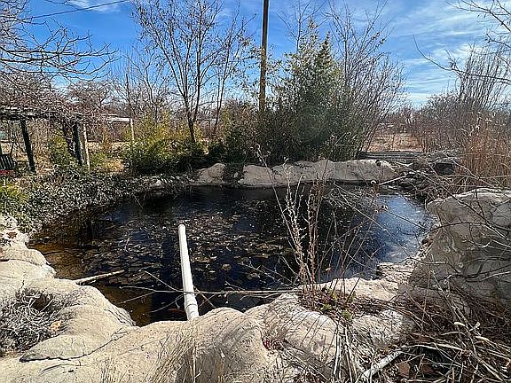 Pond