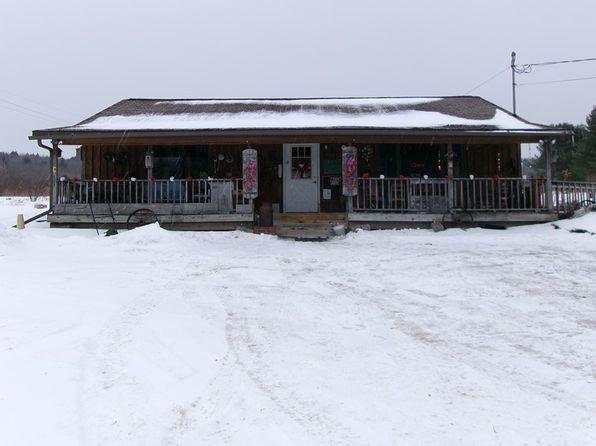866 State Route 41, Willet, NY 13863
