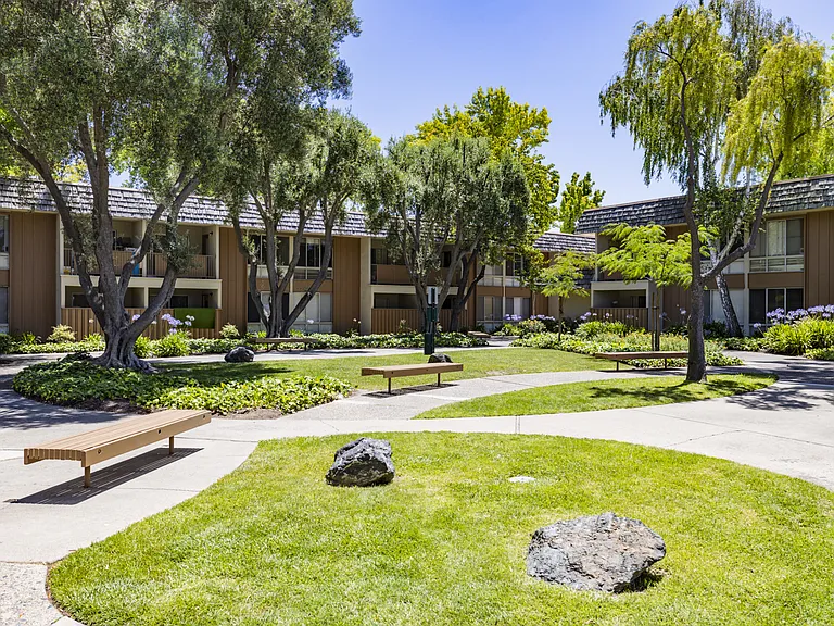 Sundale — Photo 20