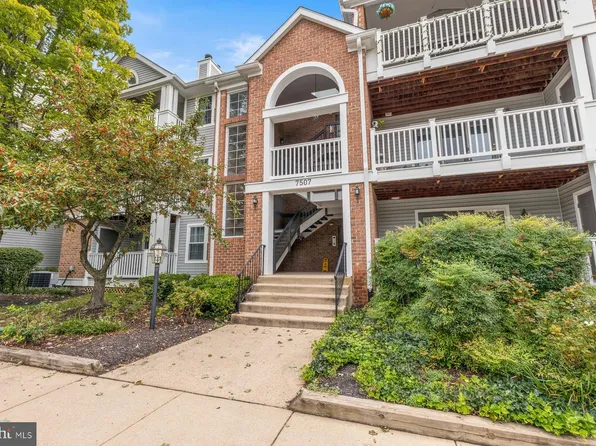 7507 Ashby Ln Unit M, Alexandria, VA 22315