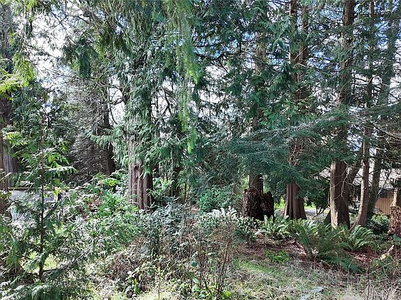 3rd image of 792 Shelter Bay Dr