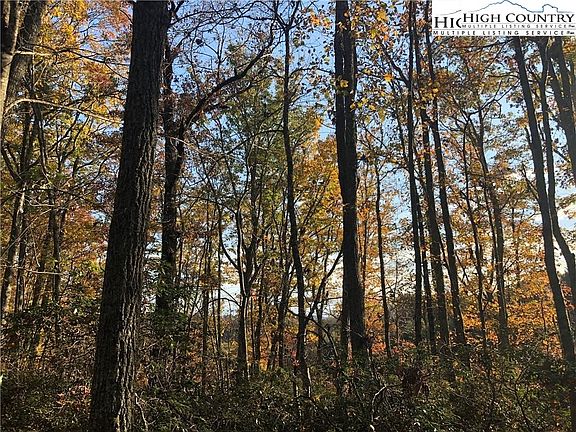 3rd image of Lot 34 Saddlebrook Lane