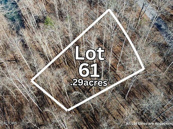 3rd image of LOT 61 Hiwassee View Dr